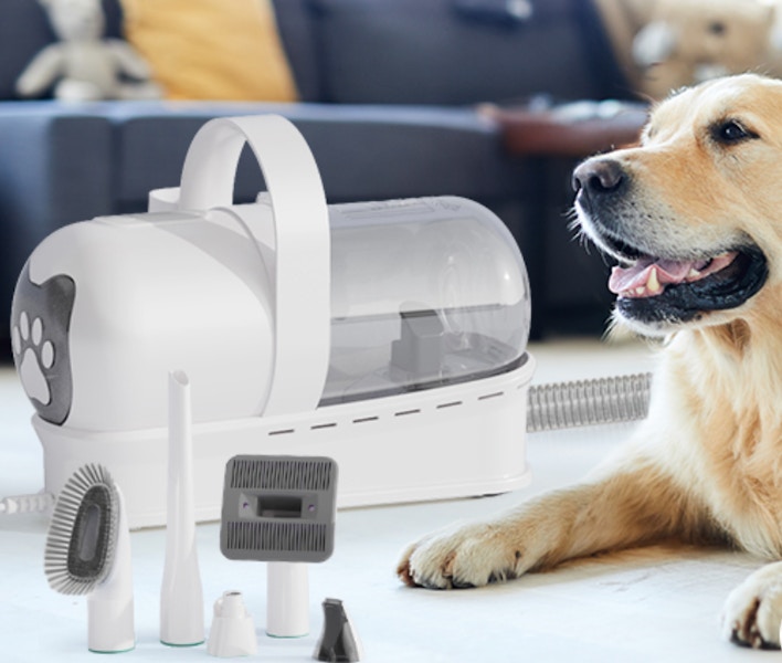 Amazon Pet Grooming Kit 2025