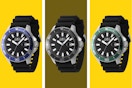 ashford watch