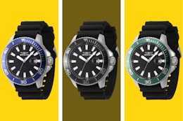 ashford watch