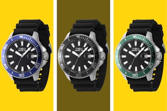 ashford watch