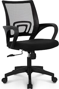 Ergonomic Desk Chair