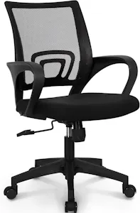 Ergonomic Desk Chair