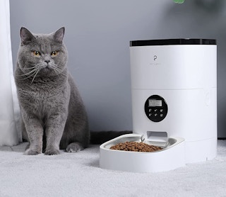 amazon cat feeder 1638208082 1638208083 e1638208231767