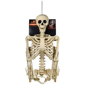 Posable Skeleton