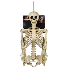 Posable Skeleton
