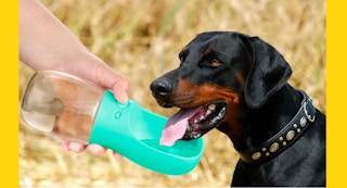 pedy dog water bowl 1682700222 1682700222