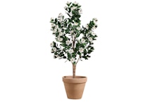Wicker Park Faux Gardenia Tree