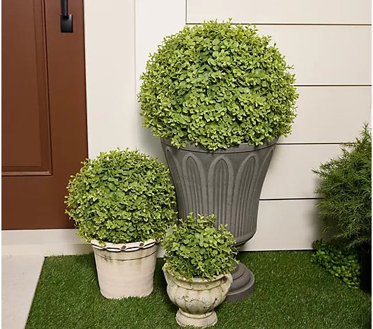 Martha Stewart Faux Boxwood Spheres