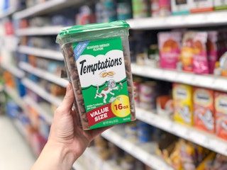 a hand holding a tub of cat treats 