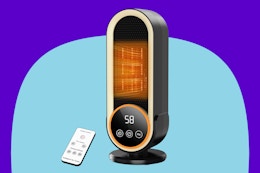 Dandist Space Heater