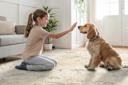 a girl and dog on a rug
