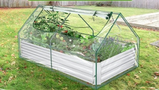 a clear greenhouse with a garden bed in a yard 