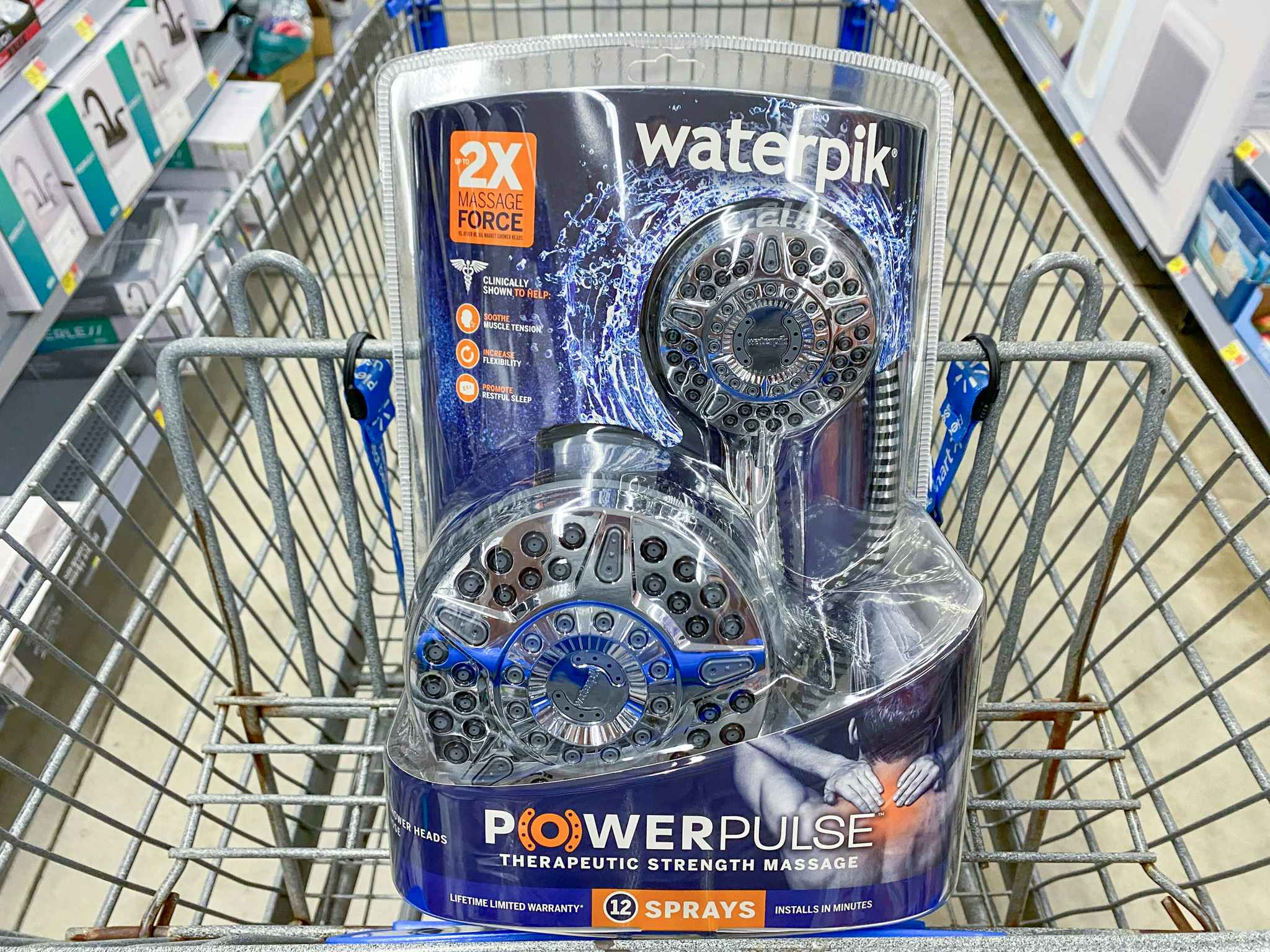 waterpik dual shower head in walmart cart