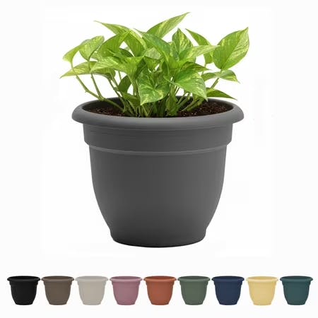 Self-Watering Planter