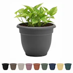 Self-Watering Planter
