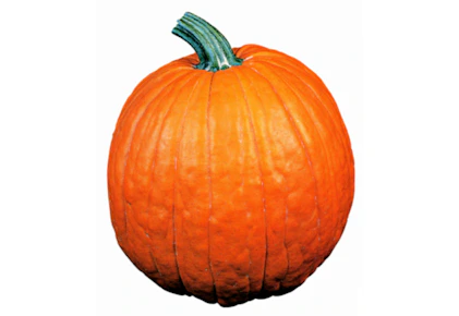 2 Pumpkins