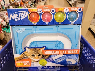nerf cat toy