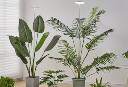 Plant Grow Light, Just $15.38 on Amazon card image