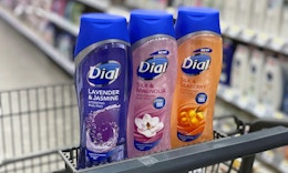 walgreens-dialbodywash-02-cs
