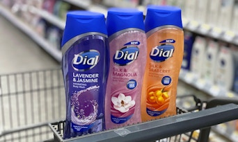 walgreens-dialbodywash-02-cs