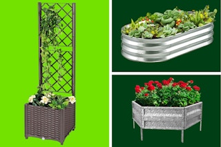 Wayfair Raised Garden Beds Feature Image