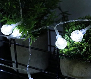 Outdoor String Lights wrapped around plants 