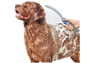 Waterpik PPR-252 Pet Wand Pro Shower Sprayer Attachmen