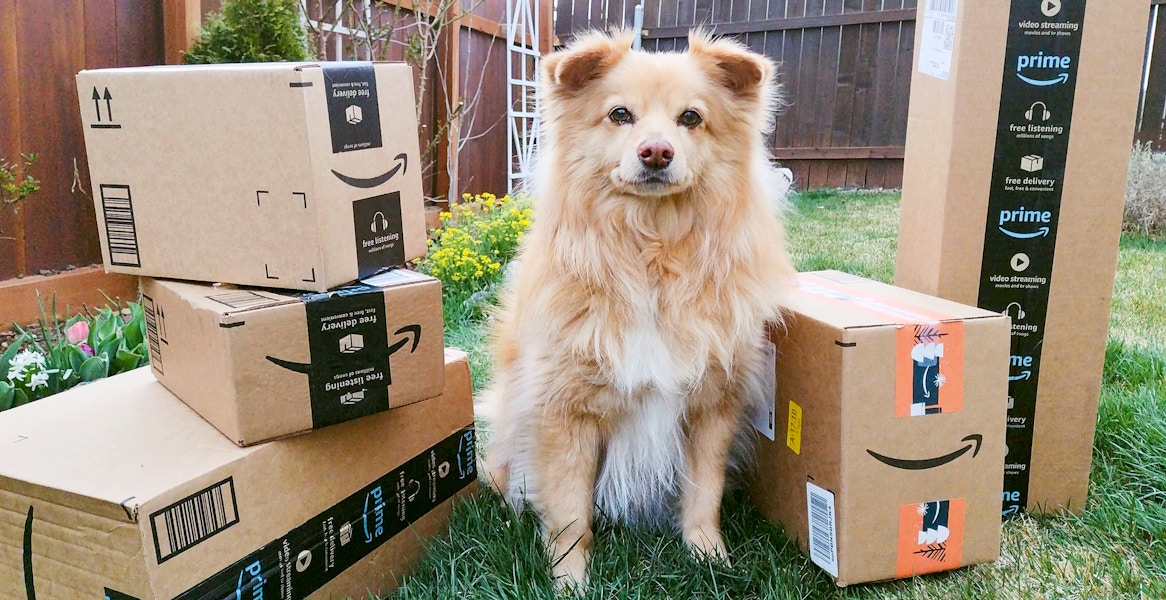amazon-boxes-dog-yard-reuploaded-feature