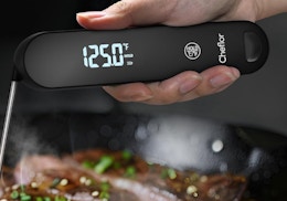 a person holding a meat thermometer