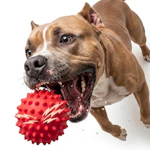 Durable Squeaky Dog Ball