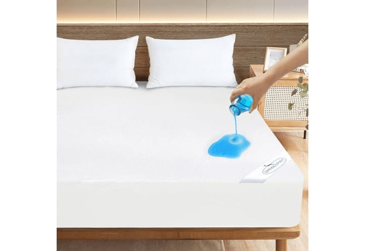 Queen Mattress Protector