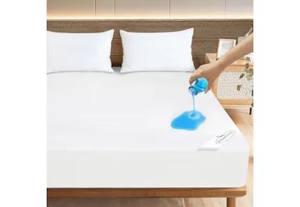 Queen Mattress Protector