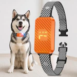 Dog Bark Collar