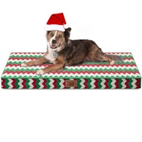 Orthopedic Dog Bed