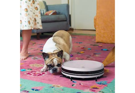 Robot Vacuum and Mop