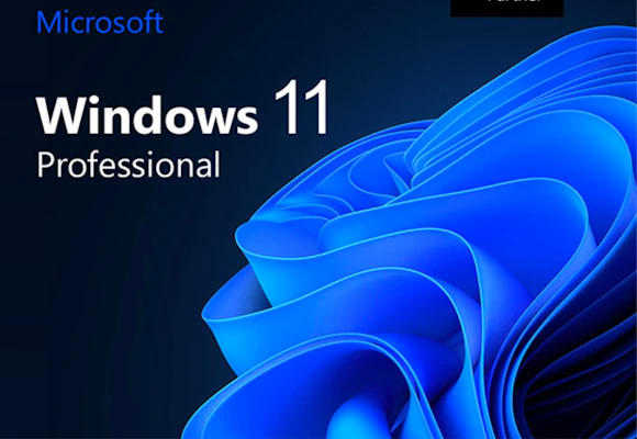Windows 11