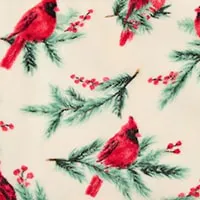 Holiday Velvet Plush Throw