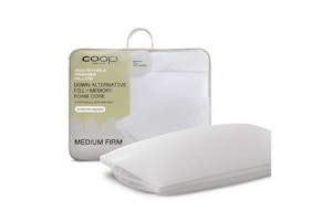 Coop Home Goods Premier Pillow