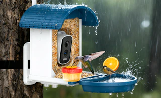 a bird feeder with a camera on a tree