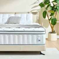 Full Size Mattress
