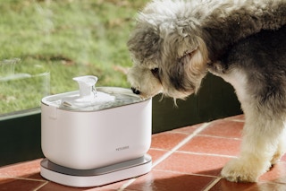 costco-petlibro-cordless-pet-water-fountain-feature-image