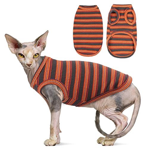 Sphynx Cat Shirt