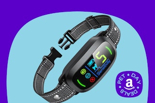 dog bark collar 