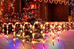 24 Pack Solar Candy Cane Lights Outdoor Christmas Decorations