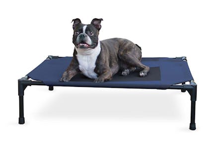 Elevated Pet Cot