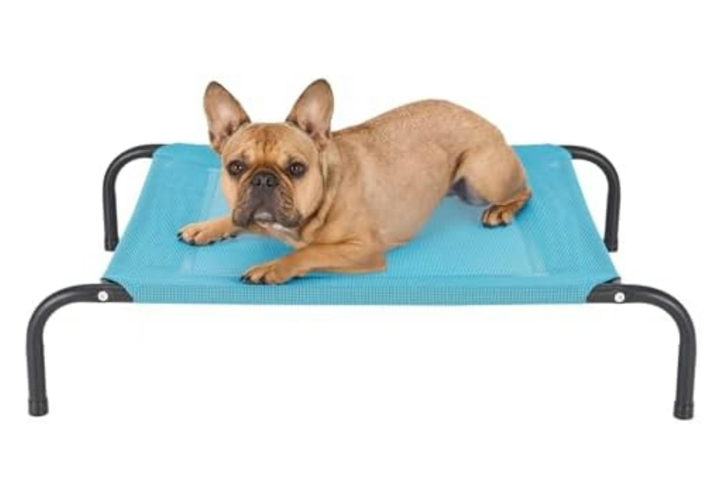 Raised Pet Cot