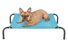 Raised Pet Cot