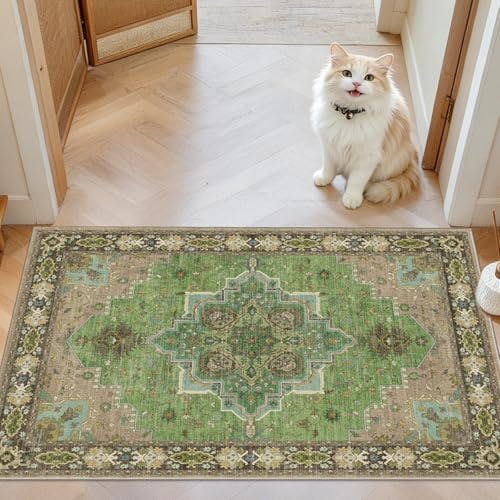 Washable Entry Rug