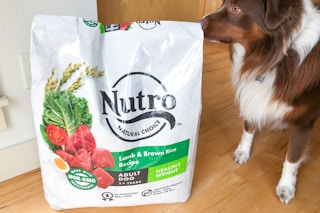 amazon nutro dog food 3 1646080390 1646080390