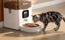 a cat eating from a cat feeder